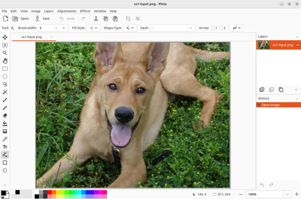 告别高昂订阅费!这些Photoshop替代品,总有一款适合你