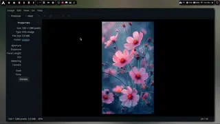 ComfyUI GeminiOllama Extension：将大语言模型及多种图像处理工具集成到 ComfyUI 中