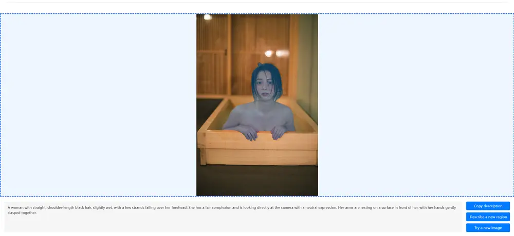 英伟达推出多模态大语言模型Describe Anything 3B：为图像和视频局部描述量身定制的多模态 AI 模型