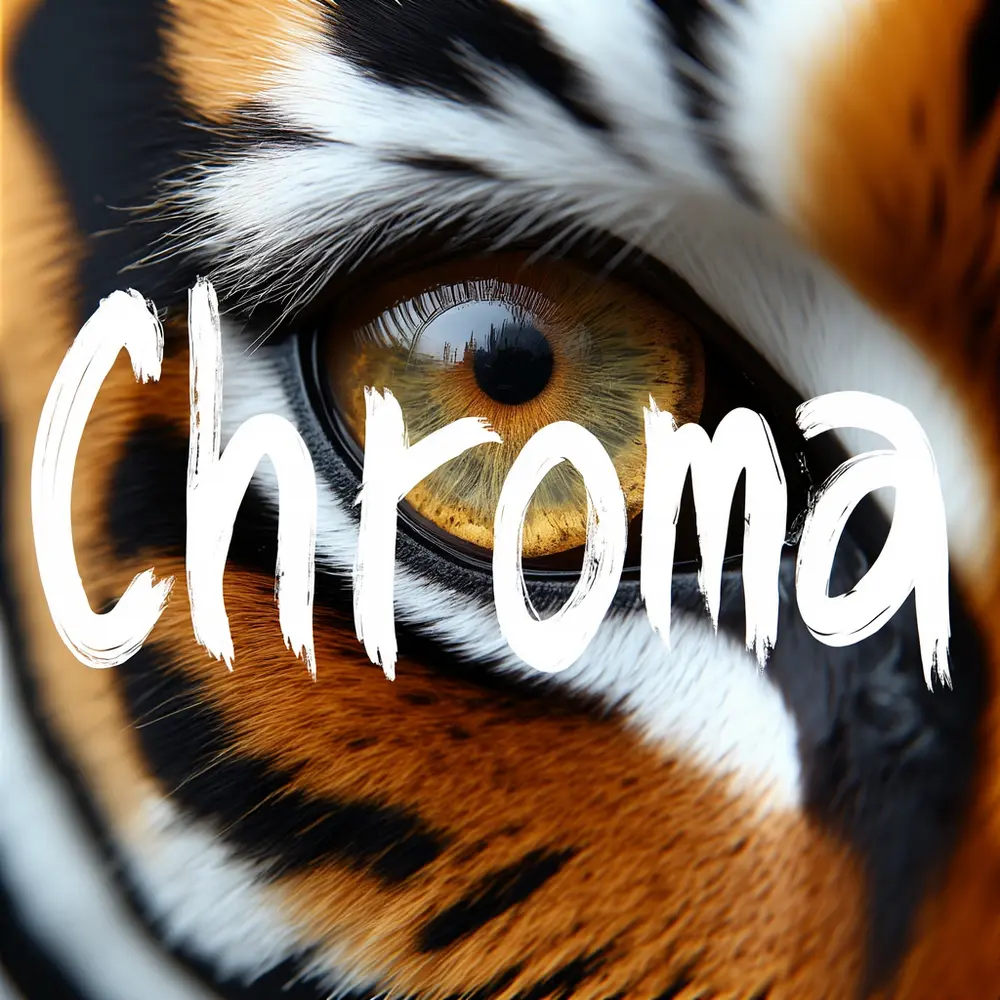 基于 FLUX.1-schnell的开源、无审查的生成模型Chroma