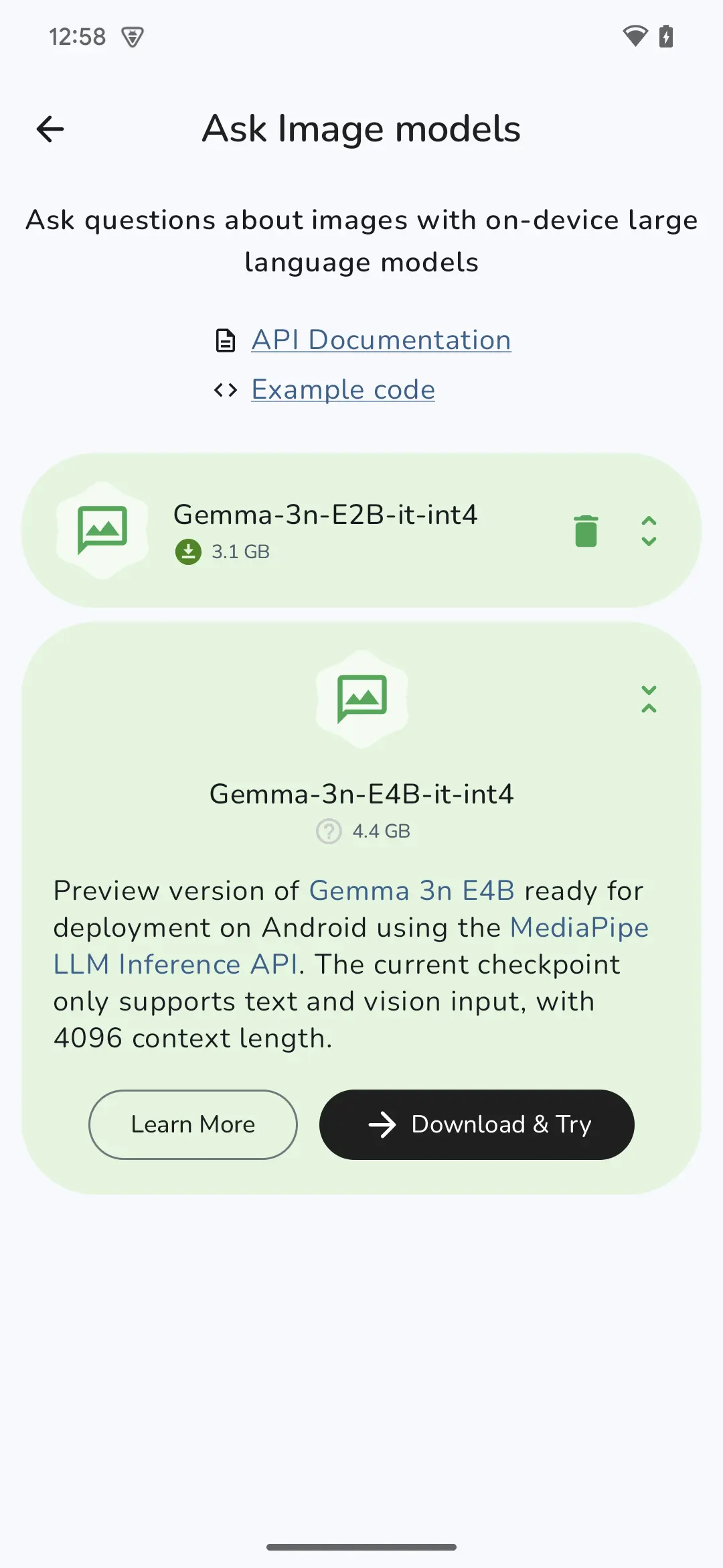 Google AI Edge Gallery