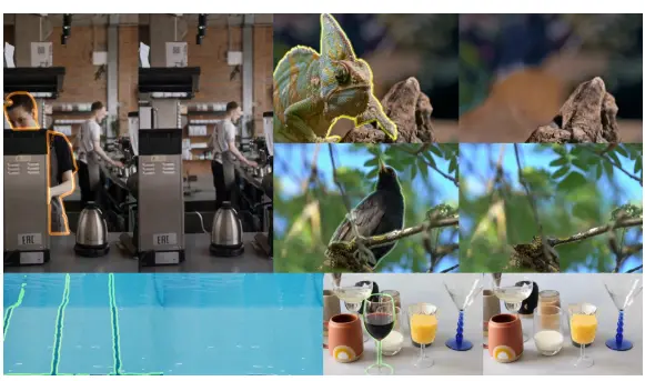 MiniMax-Remover:港中大等联合提出高效视频目标移除新方法