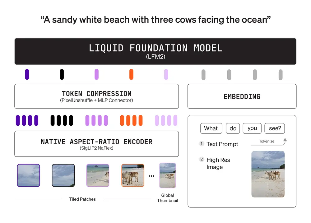 LFM2-VL:轻量高效、面向设备端的视觉-语言模型