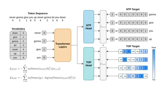 新型辅助训练目标Token Order Prediction (TOP):用于改进语言模型中的下一个词预测(NTP)任务
