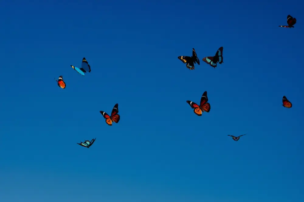 新版 Reve Image 上线：整合生成、编辑与混编的一体化平台