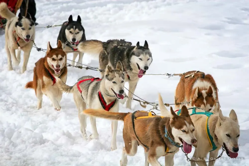 Moondream 团队推出 Moondream 3 预览版本：轻量架构下的高性能视觉推理模型