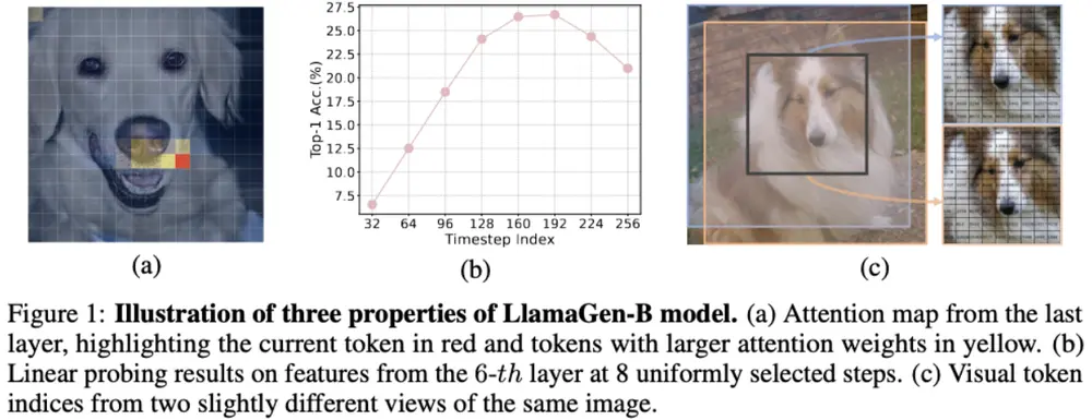 ST-AR:让自回归图像生成学会“先理解,再生成”