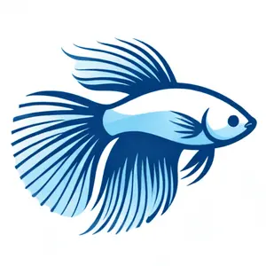 微舆（BettaFish）