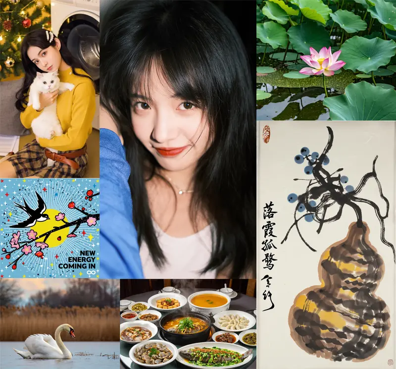 阿里通义 MAX 项目组发布 Z-Image ：支持 CFG 与微调，面向专业创作的非蒸馏基础模型