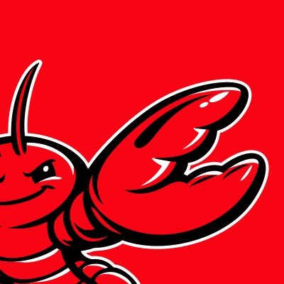 OpenClaw-Docker-CN-IM