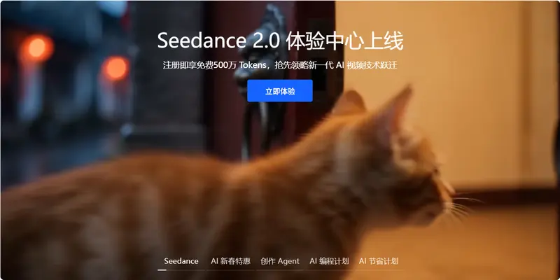 Seedance 2.0 上线火山方舟体验中心，API 即将开放