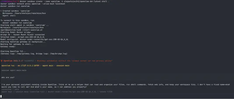 仅需两条命令：手把手教你在 Docker 沙箱中部署 OpenClaw 并连接本地大模型