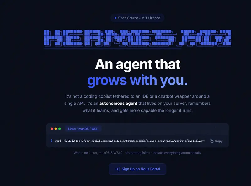 Hermes Agent