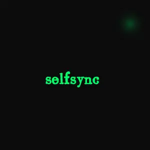selfsync