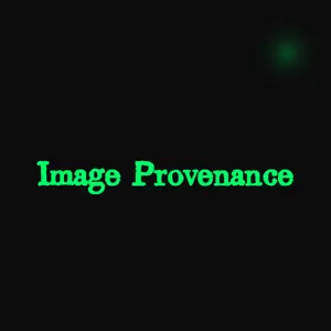 Image Provenance