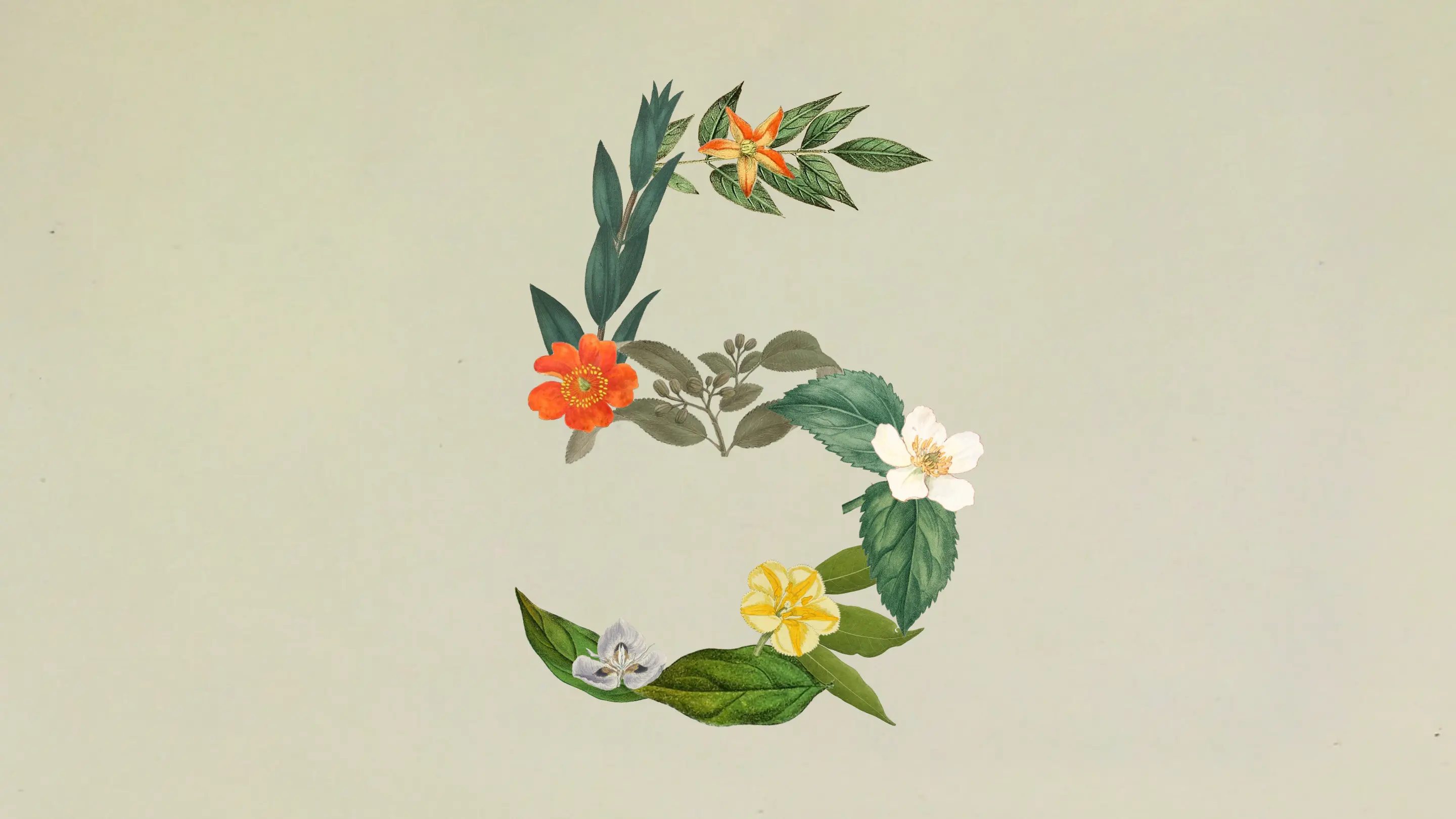 Anthropic 发布 Claude Sonnet 5，以中端价格提供旗舰级 Agentic 能力