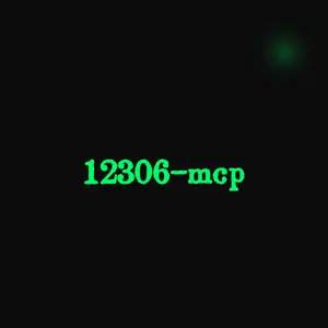 12306-mcp