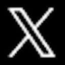 X MCP
