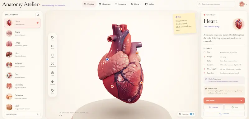 Anatomy Atelier