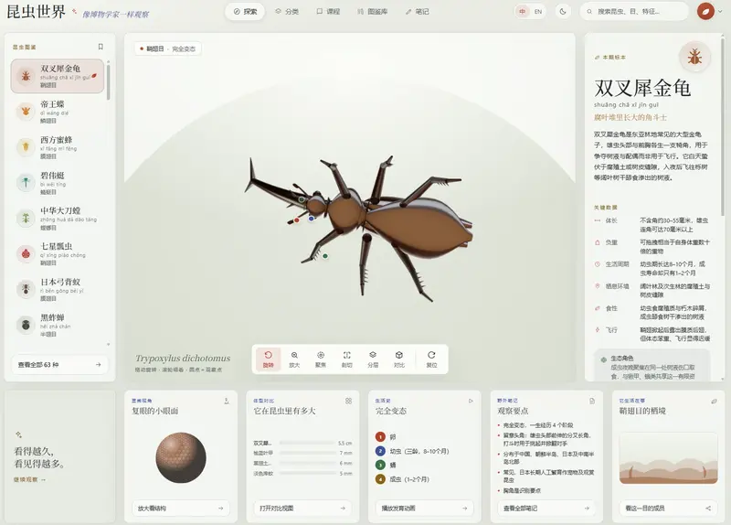 昆虫世界