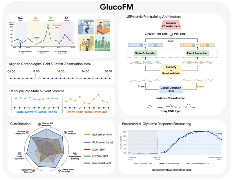 谷歌发布GlucoFM：双流架构的血糖监测基础模型，小参数实现CGM信号高效解析