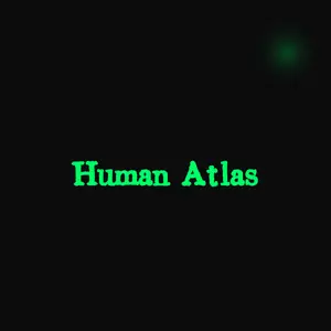 Human Atlas