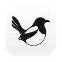 Magpie